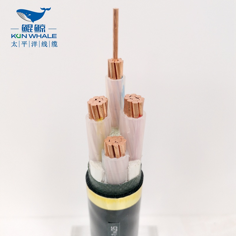 50平方低壓電力電纜，低壓電纜，電力電纜-河南太平洋線纜