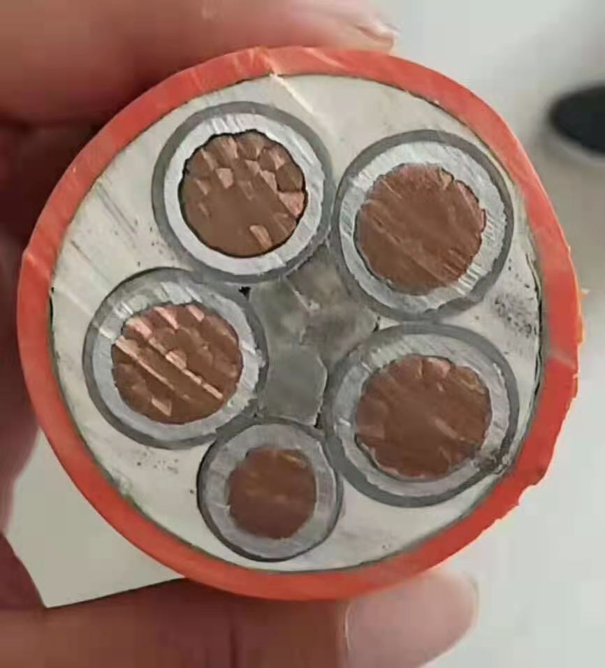 鄭州電纜廠(chǎng)電纜價(jià)格淺談防火電纜受到公眾喜愛(ài)的原因