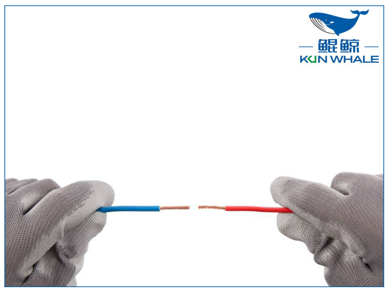 河南太平洋圖片