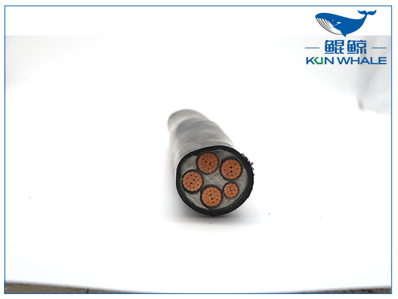 低煙無鹵電纜是什么意思？什么是低煙無鹵電纜？