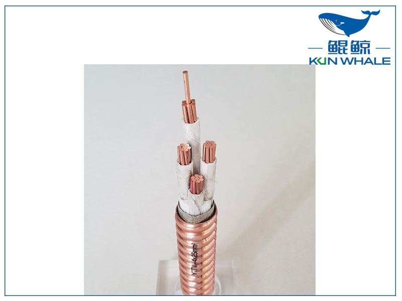 鄭州電纜廠河南太平洋電纜為您介紹YTTW電纜