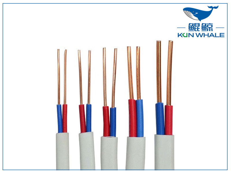 河南太平洋線纜帶你了解什么是<i style='color:red'>bvvb</i>電線？